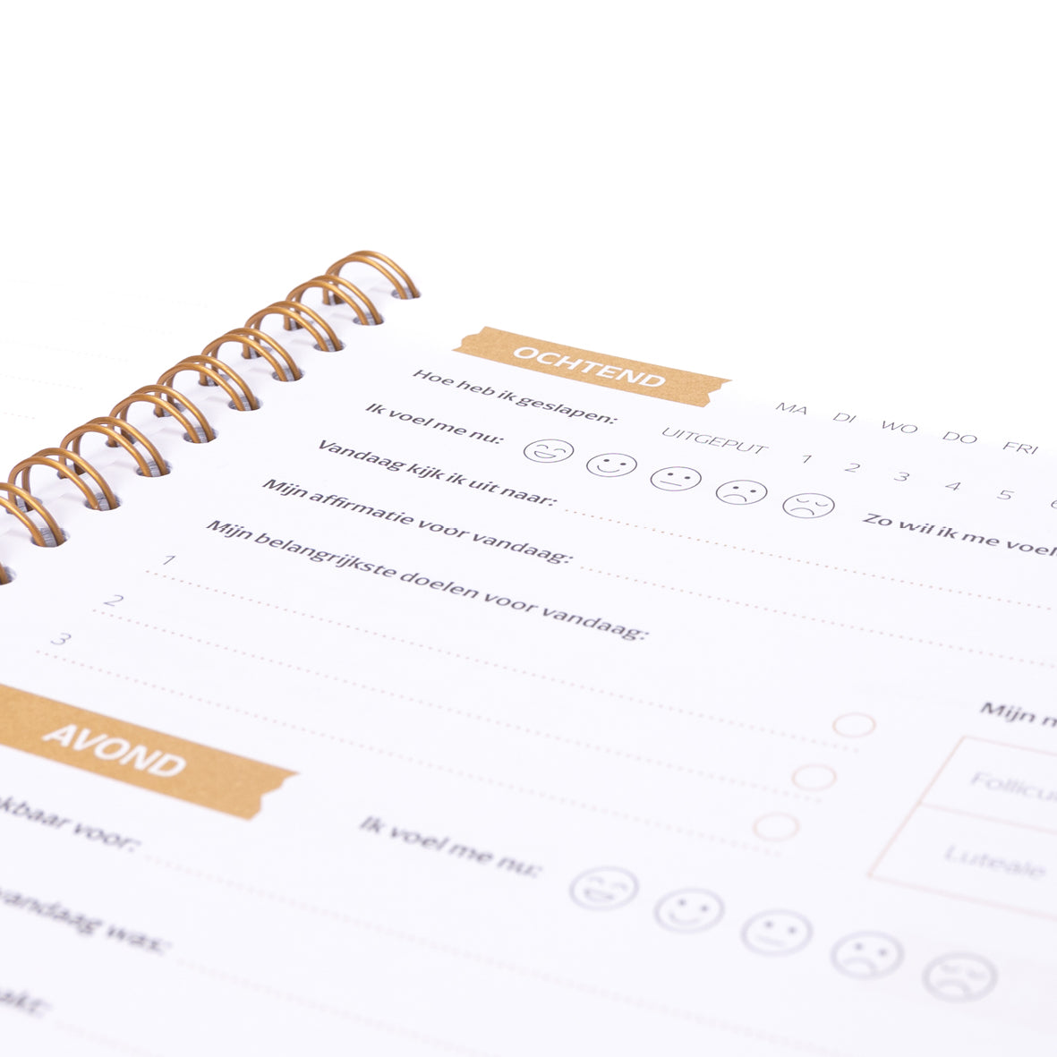 Daily Journal